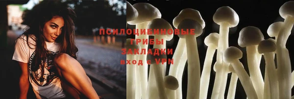ешки Балахна
